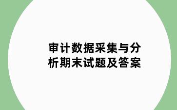 审计数据采集与分析期末试题及答案