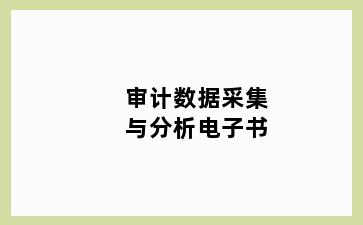 审计数据采集与分析电子书