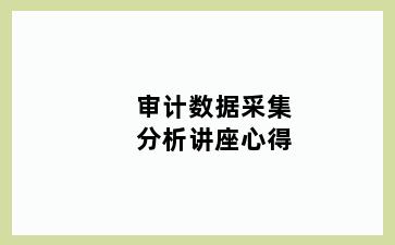 审计数据采集分析讲座心得