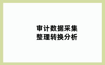 审计数据采集整理转换分析