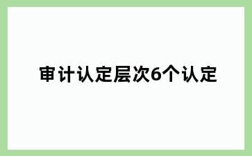 审计认定层次6个认定