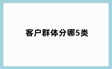 客户群体分哪5类