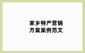 家乡特产营销方案案例范文