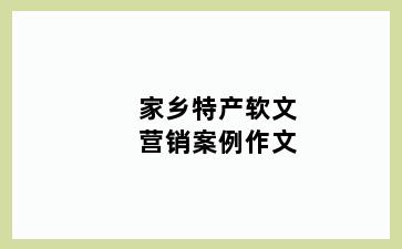 家乡特产软文营销案例作文