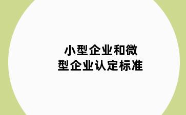 小型企业和微型企业认定标准