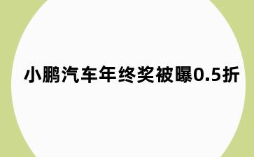 小鹏汽车年终奖被曝0.5折