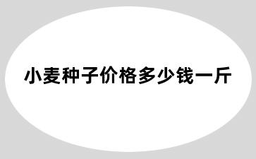 小麦种子价格多少钱一斤