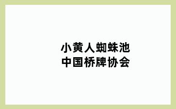 小黄人蜘蛛池中国桥牌协会