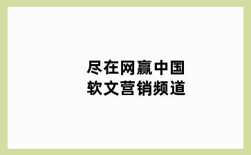 尽在网赢中国软文营销频道