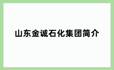 山东金诚石化集团简介