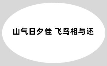 山气日夕佳 飞鸟相与还