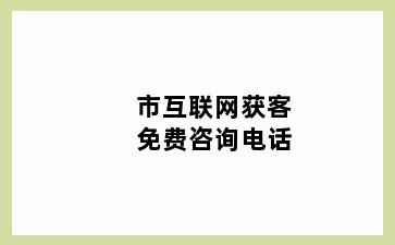 市互联网获客免费咨询电话