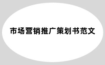 市场营销推广策划书范文