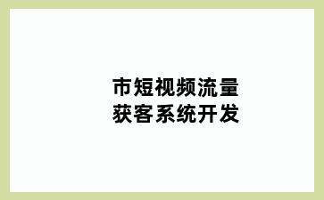 市短视频流量获客系统开发