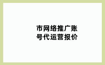 市网络推广账号代运营报价