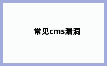 常见cms漏洞