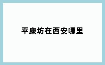 平康坊在西安哪里