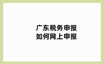 税务申报如何网上申报