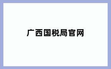 广西国税局官网