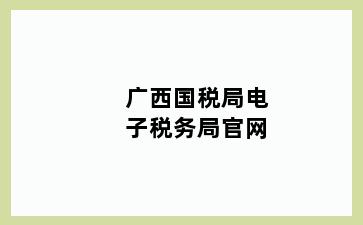 广西国税局电子税务局官网
