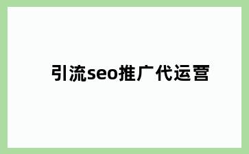 引流seo推广代运营