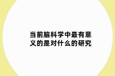 当前脑科学中最有意义的是对什么的研究