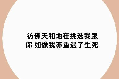 彷佛天和地在挑选我跟你 如像我亦重遇了生死