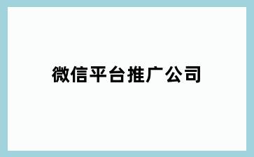 微信平台推广公司