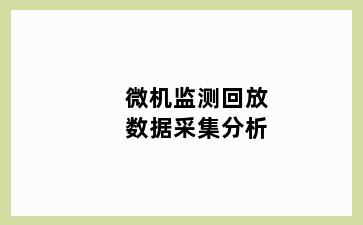 微机监测回放数据采集分析