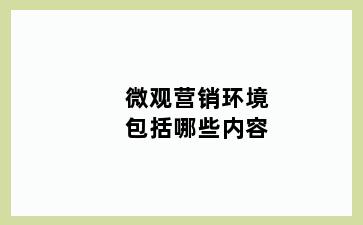 微观营销环境包括哪些内容