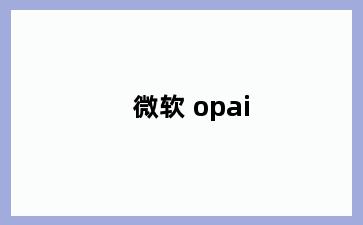 微软 opai