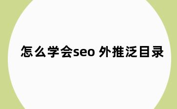 怎么学会seo 外推泛目录