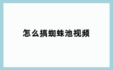 怎么搞蜘蛛池视频