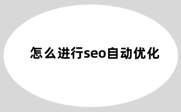 怎么进行seo自动优化