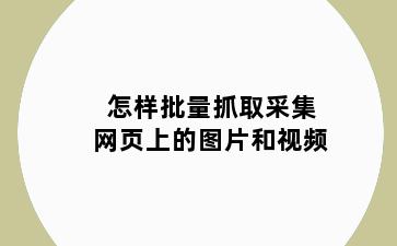 怎样批量抓取采集网页上的图片和视频