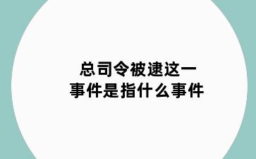 总司令被逮这一事件是指什么事件