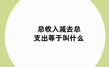 总收入减去总支出等于叫什么