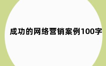 成功的网络营销案例100字