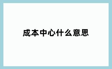 成本中心什么意思