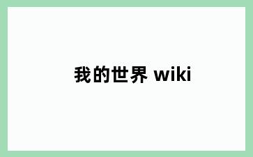 我的世界 wiki