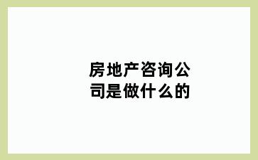 房地产咨询公司是做什么的