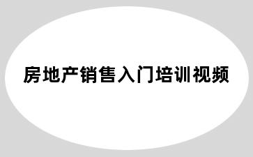 房地产销售入门培训视频