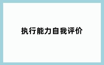 执行能力自我评价