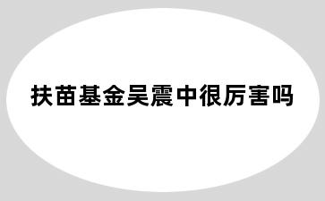 扶苗基金吴震中很厉害吗