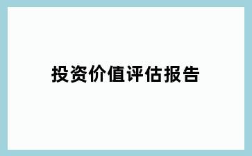 投资价值评估报告