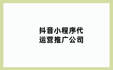 抖音小程序代运营推广公司