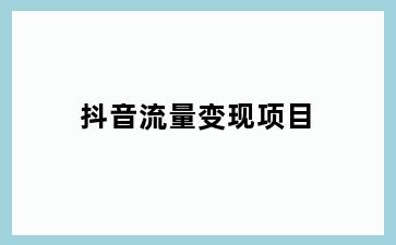 抖音流量变现项目