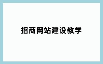 招商网站建设教学