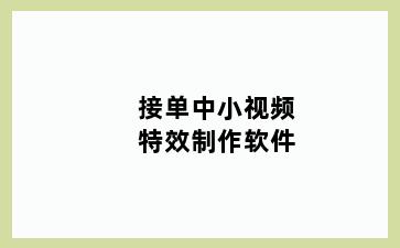 接单中小视频特效制作软件