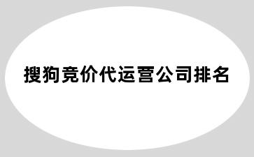 搜狗竞价代运营公司排名